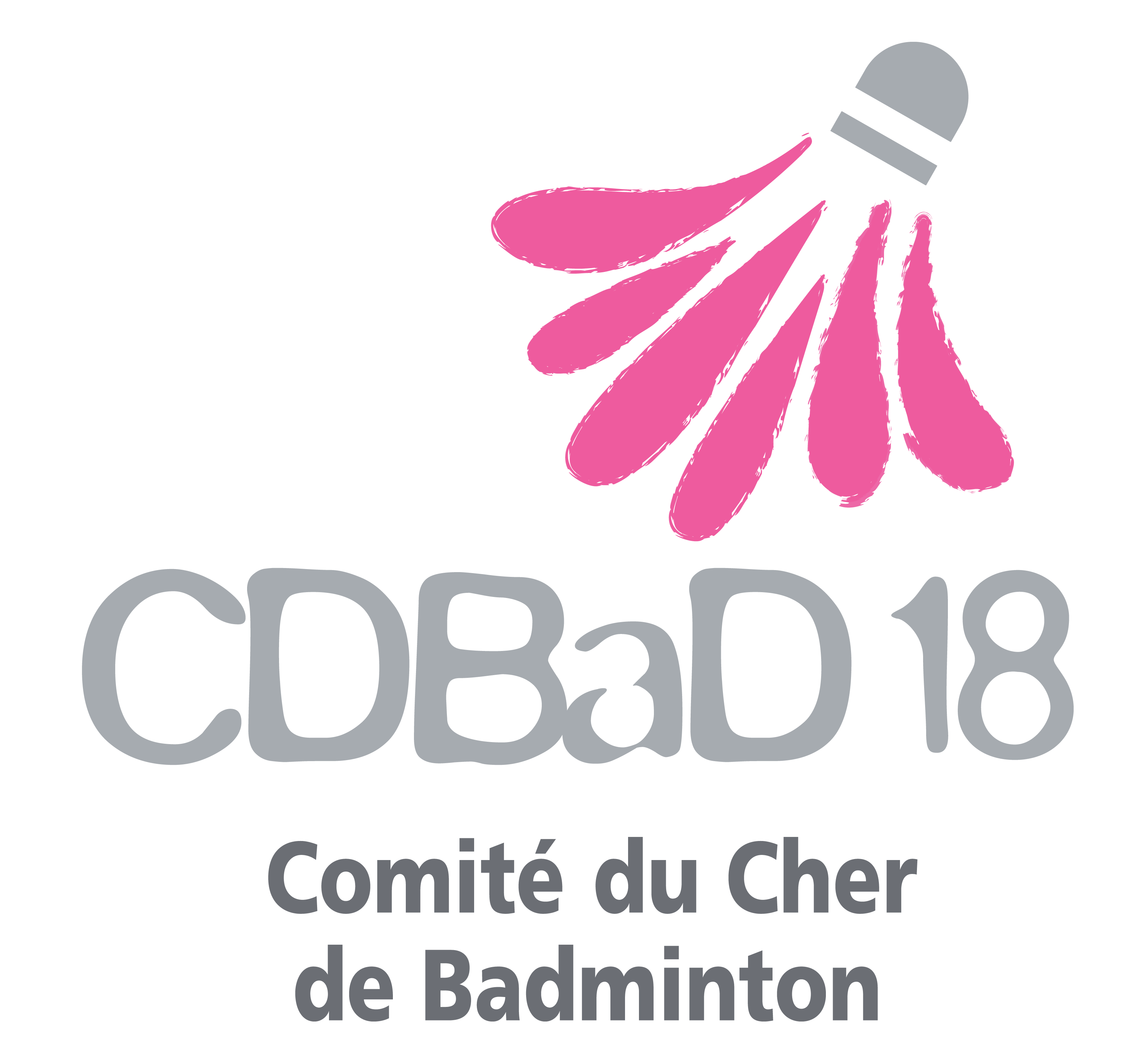 logo comité départemental badminton du Cher (18)