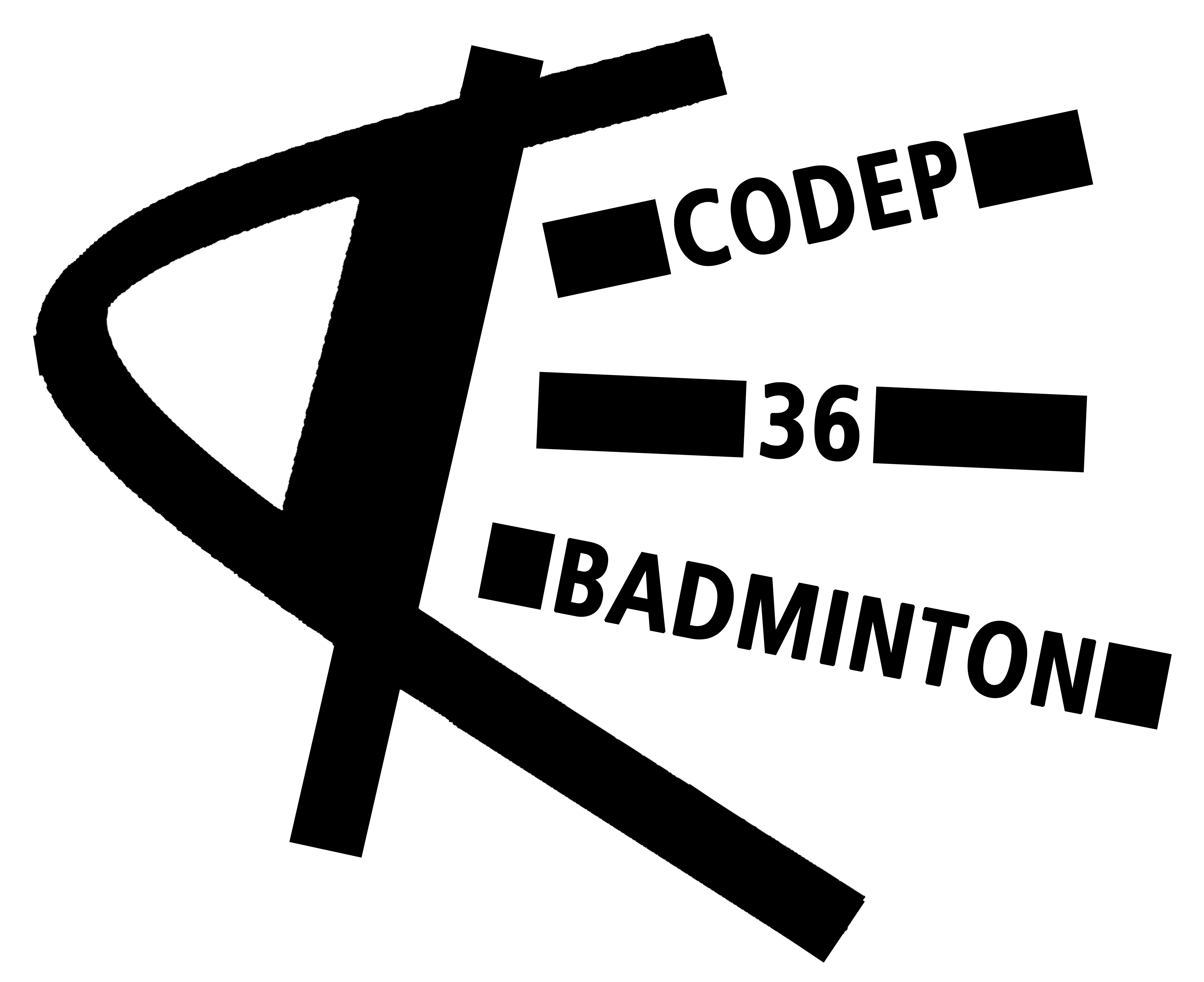 logo comité départemental badminton de l'Indre (36)