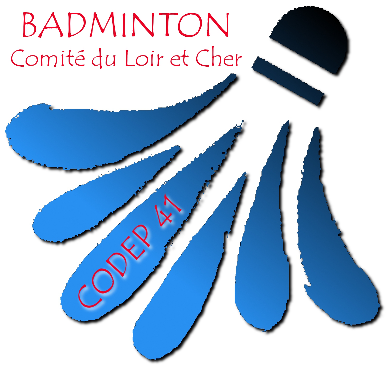 logo comité départemental badminton de l'Indre (41)