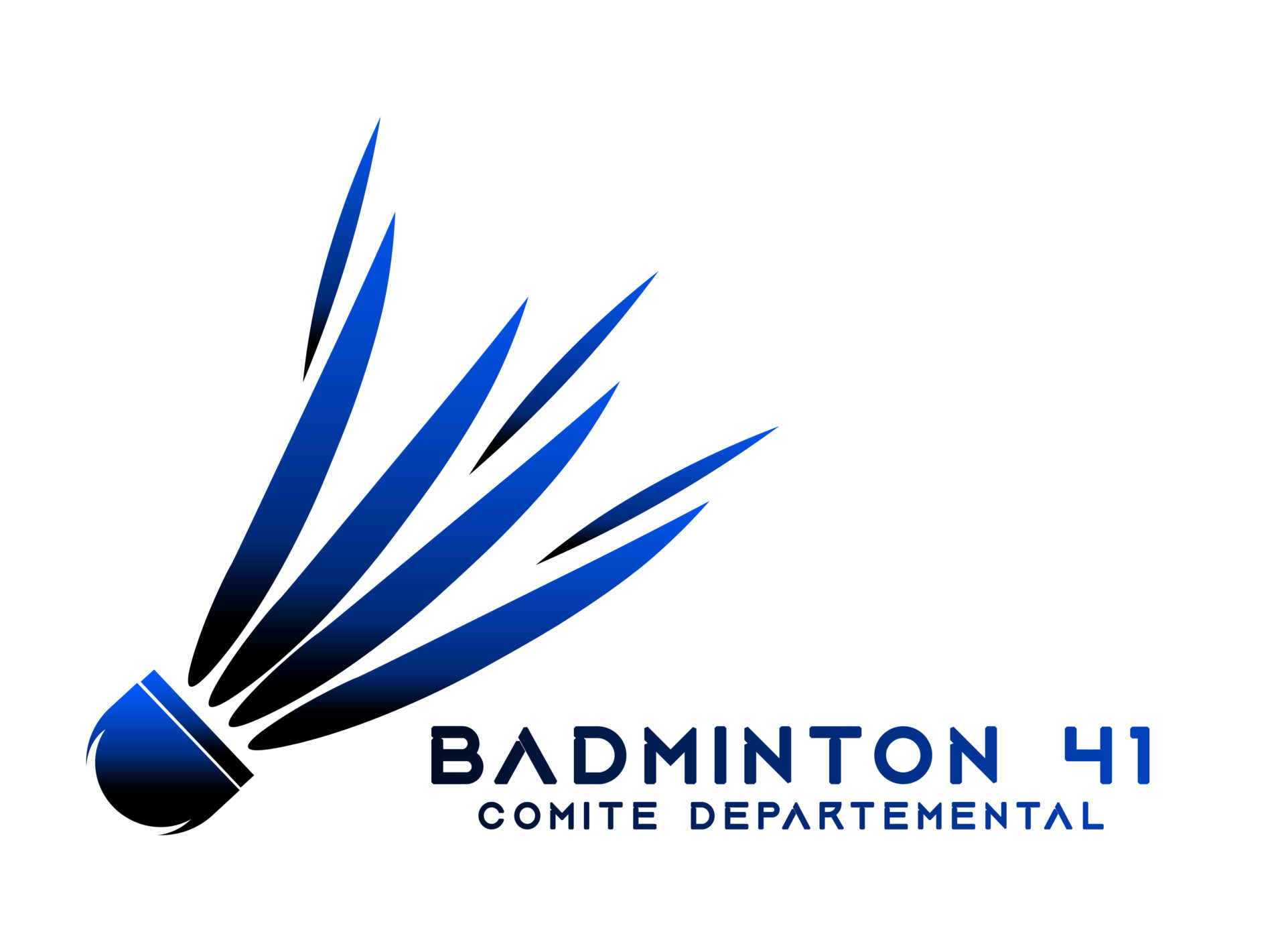 logo du comité départemental de badminton du 41